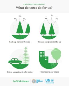trees infographic