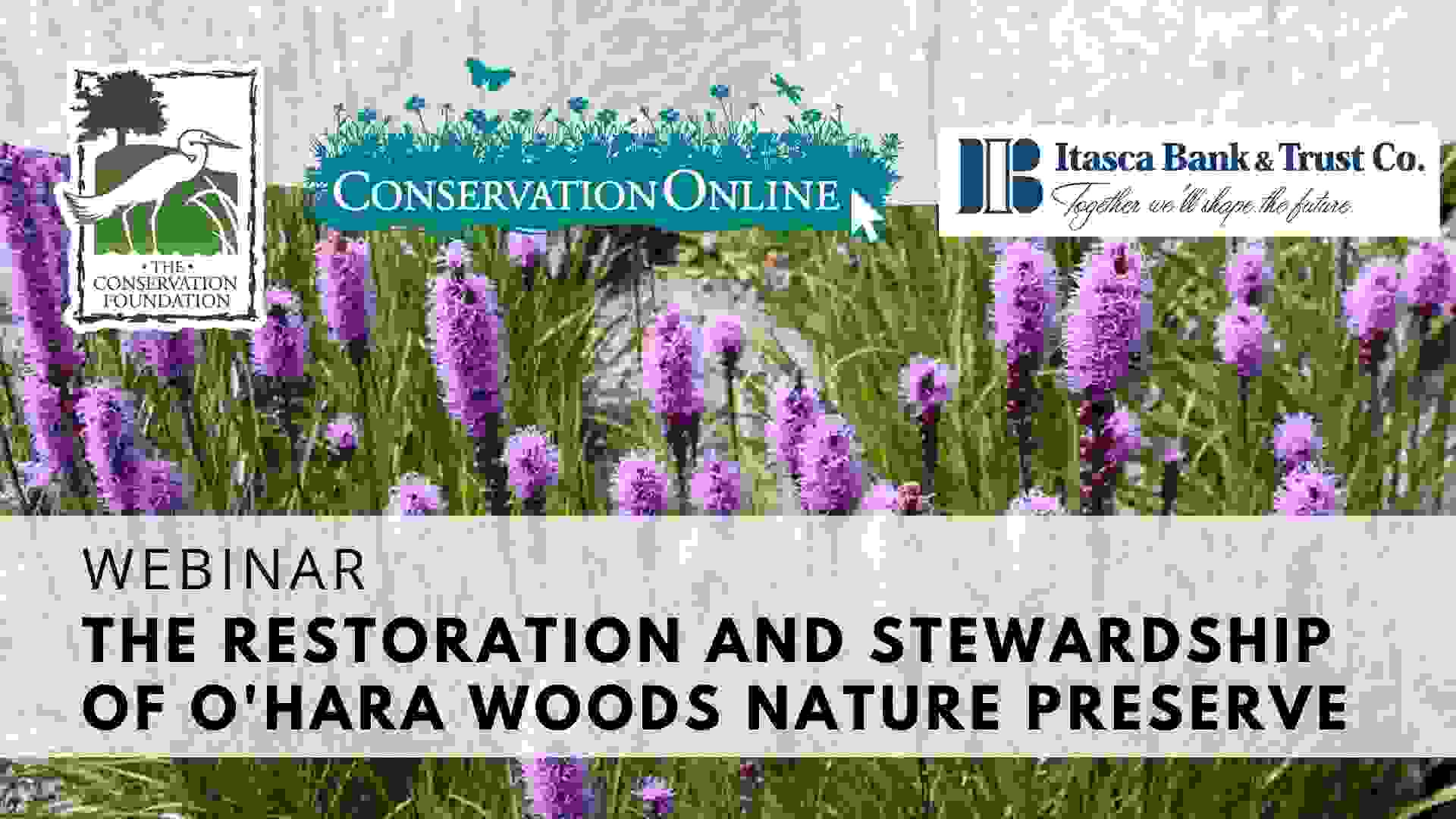 O'Hara Woods Preserve webinar banner