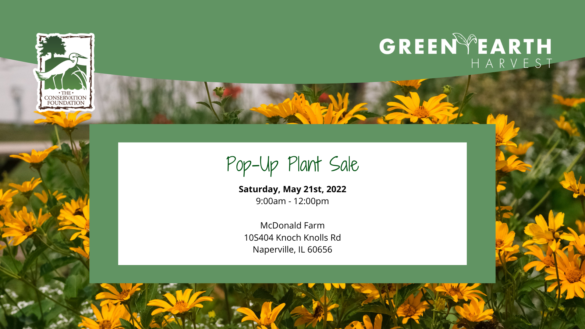 pop-up plant sale banner