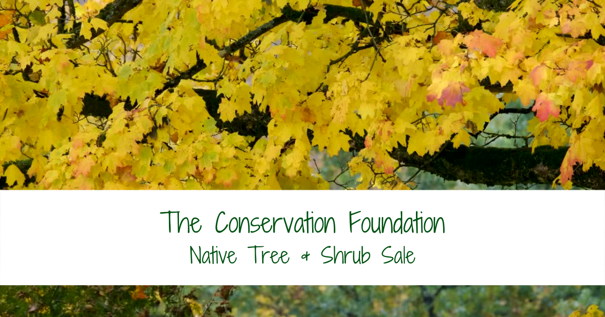 The Conservation Foundation Plant Sale banner