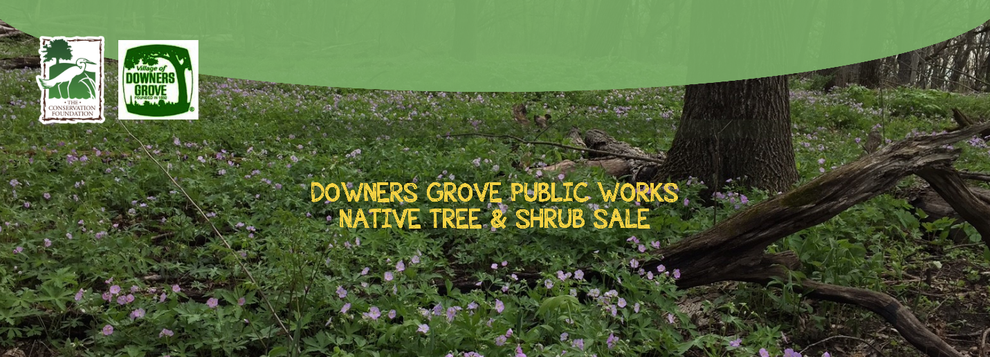 Downers Grove plant sale banner