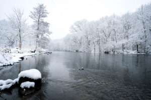 DuPage River picture