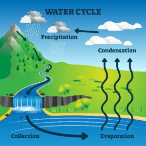groundwater cycle graphic