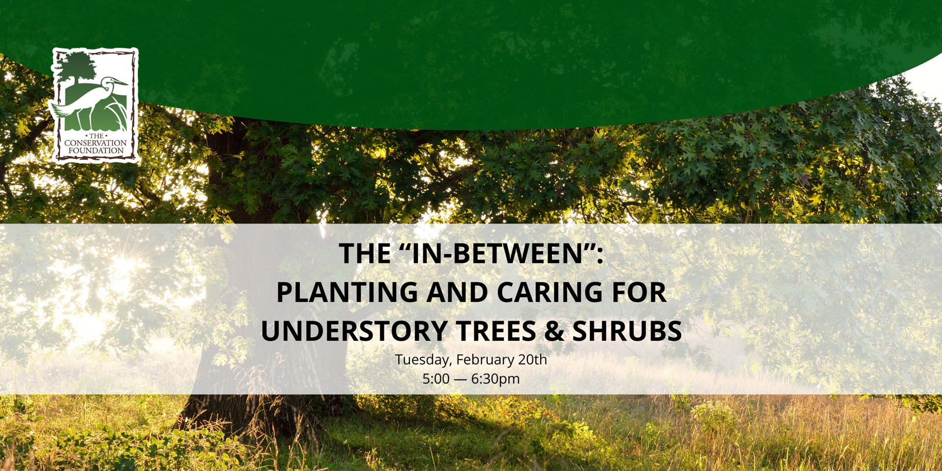 The "In-Between": Planting and Caring for Understory Trees & Shrubs event banner