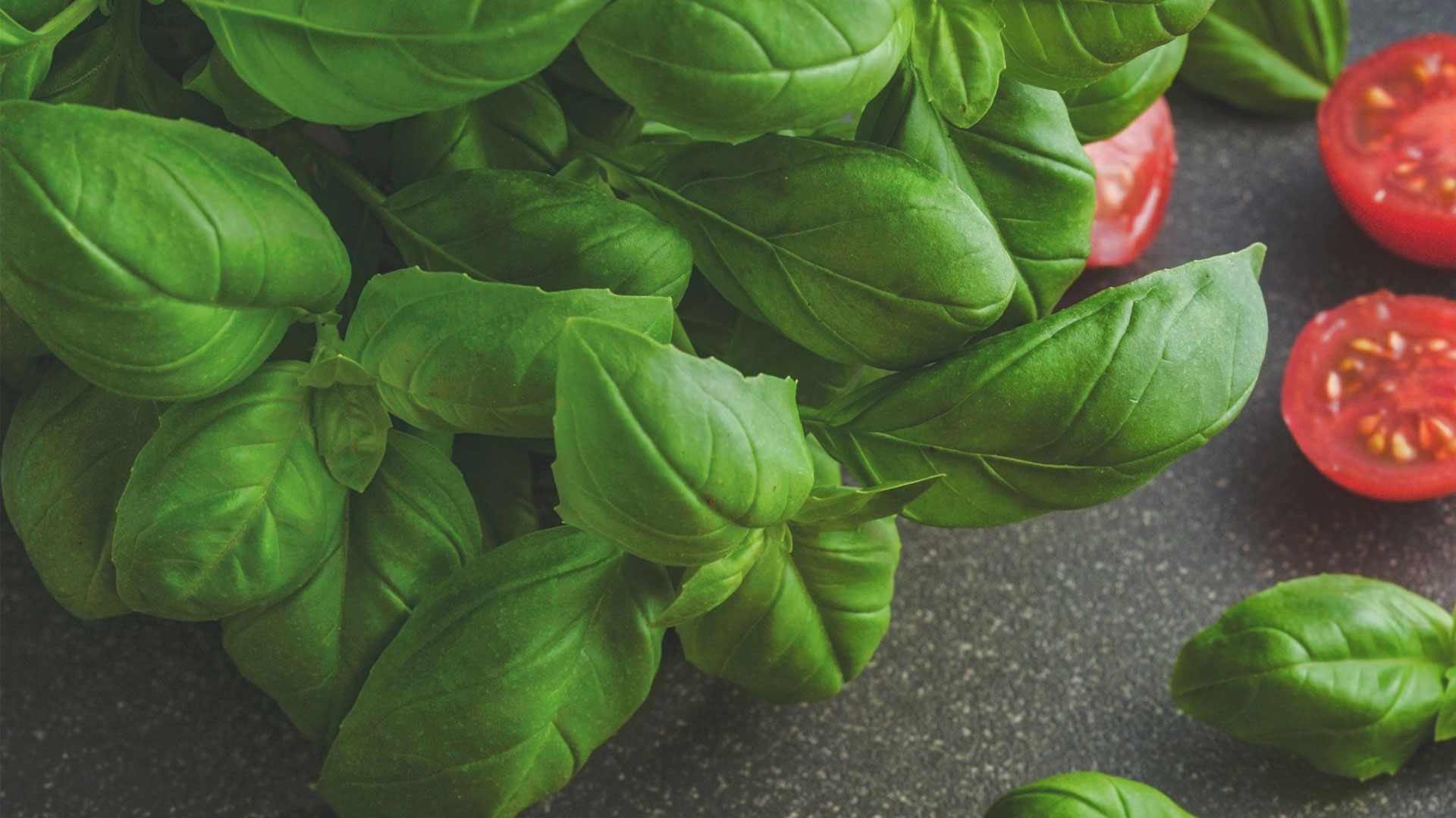 basil picture