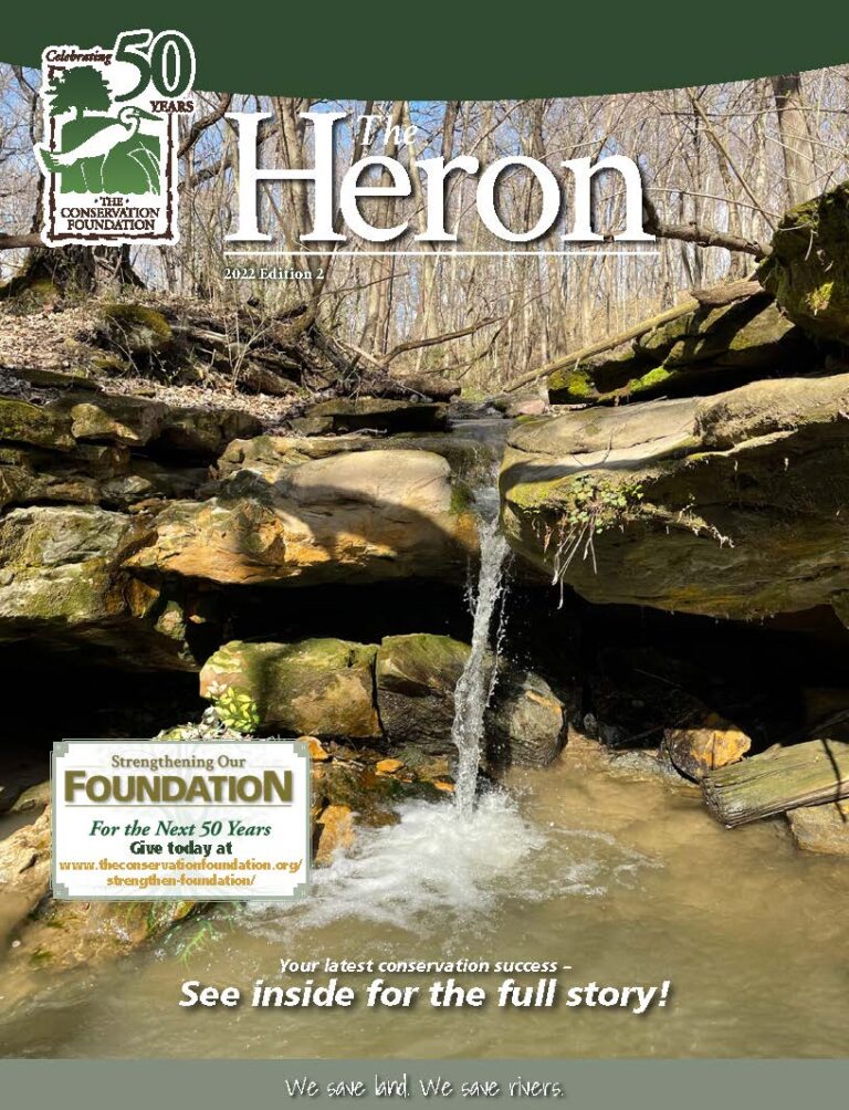 The Heron Magazine Fall 2022