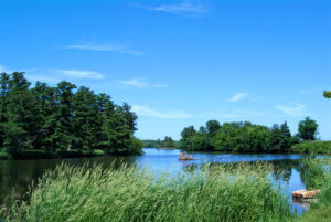 A river on a sunny day surrounded by lush trees and grasses