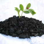 Biochar: Charcoal for the soil, not the grill