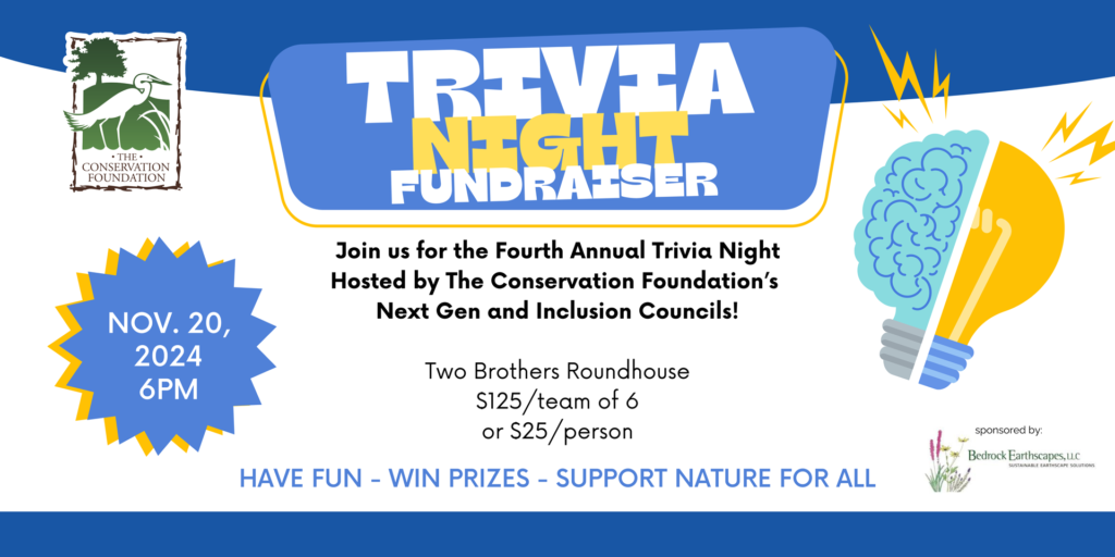 White-and-Blue-Playful-Trivia-Night-Banner-Landscape