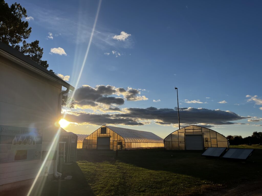 fall golden hour greenhouse