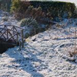 Protect Your Native Garden from Winter Salt Damage