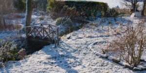 A snow covered garden