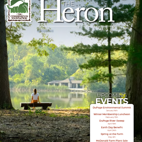 The Heron Magazine Winter 2024