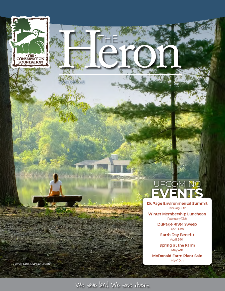 The Heron Magazine Winter 2024