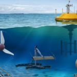 Marine Energy and Conservation: Time to Catch the Next Wave?