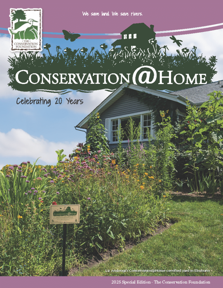 2025 Conservation@Home Anniversary print