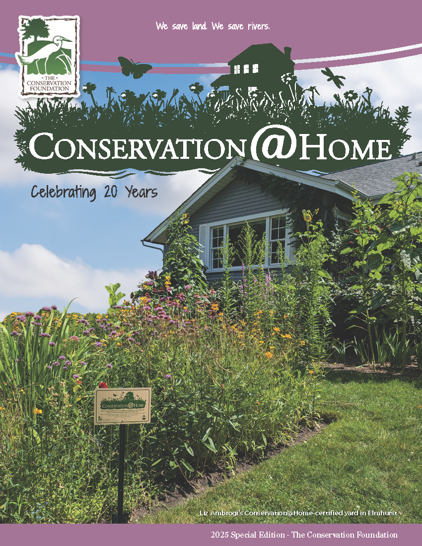 2025 Conservation@Home Anniversary print