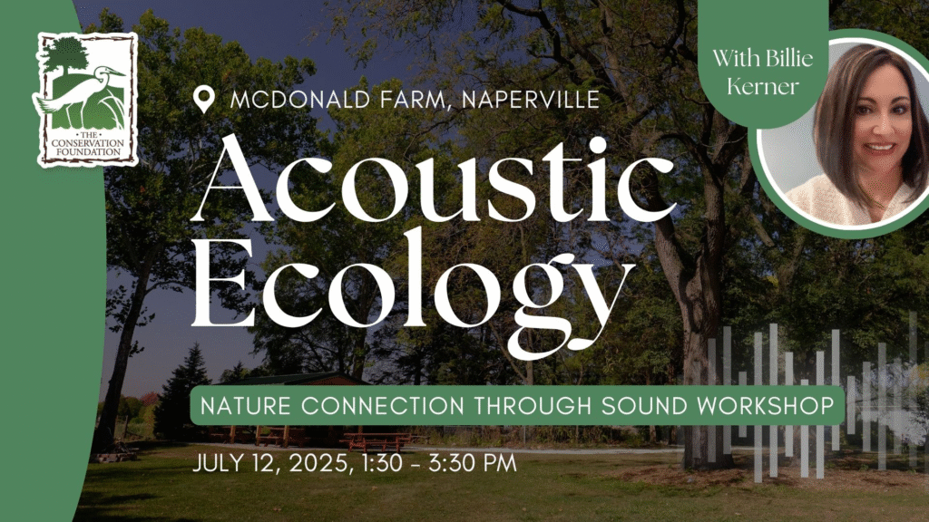 Acoustic-Ecology-Event-Cover