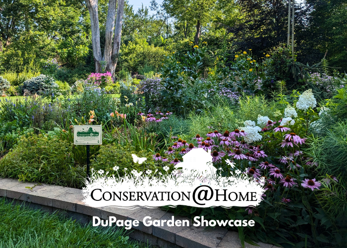 DuPageGardenShowcase