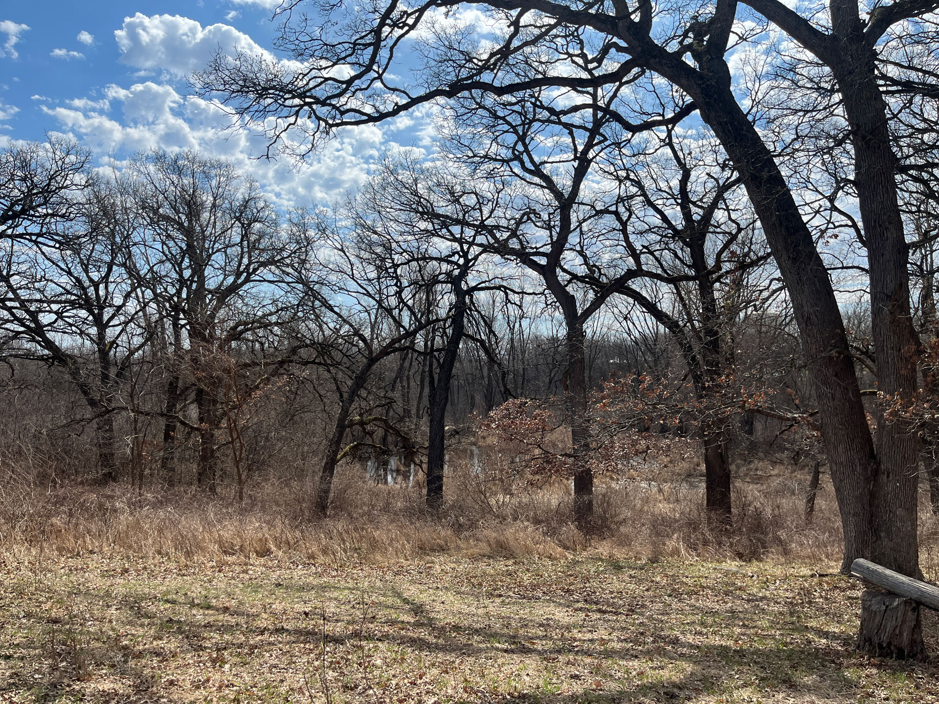 Kane County land