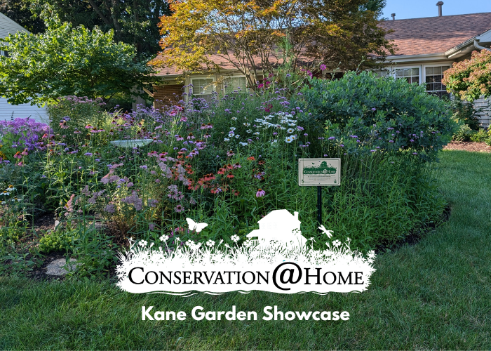 KaneGardenShowcase