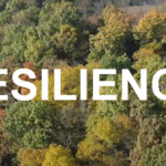 Building Resilience Through Land Conservation: Why It Matters More Than Ever
