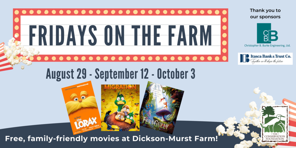 Fridays-on-the-Farm