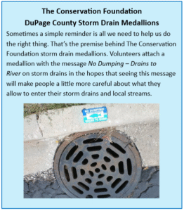 stormwater medallions graphic