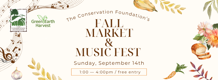 2025 Fall Market & Music Fest banner