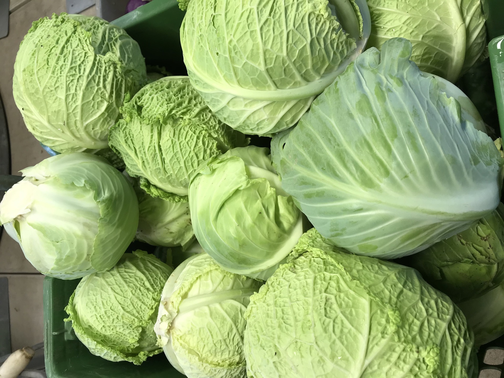 Steamed Savoy Cabbage With Sage Butter - The Conservation Foundation