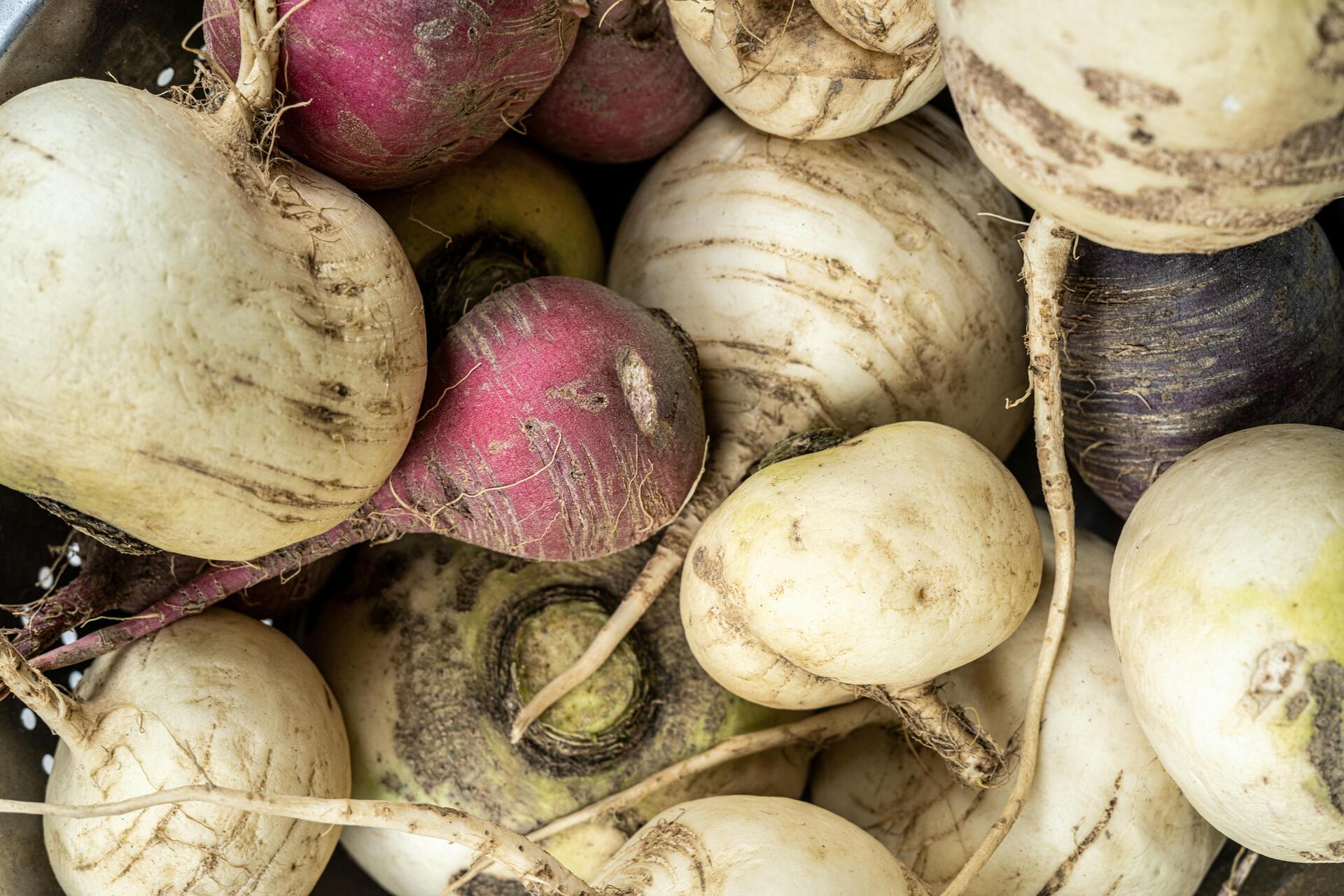 a zoomed in pile of turnips