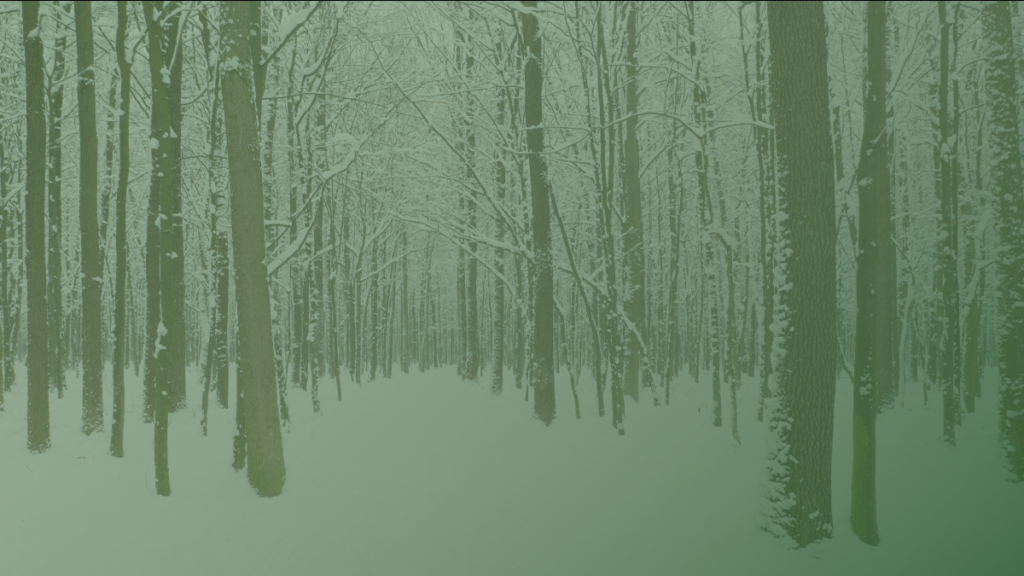 green-tress-members-lunch-2026