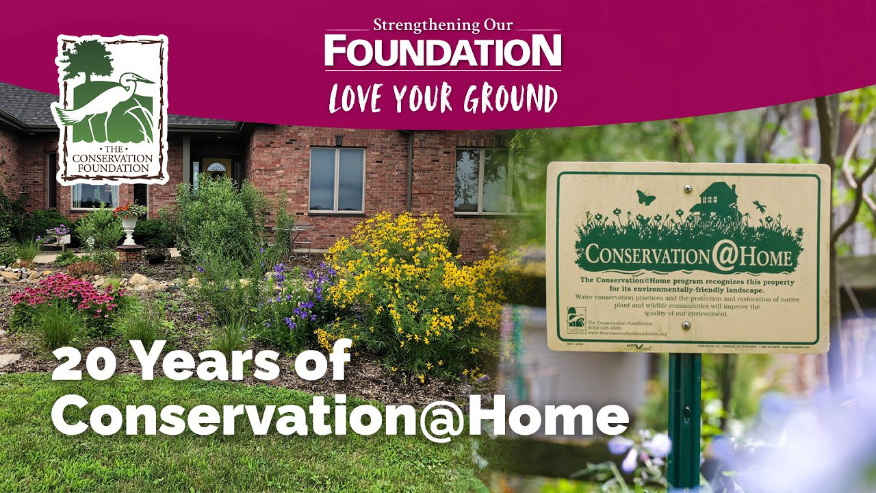 20 Years of Conservation@Home video thumbnail