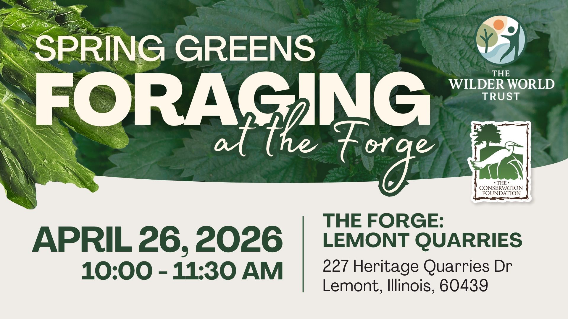 Spring Greens: Foraging at The Forge Plant Walk banner