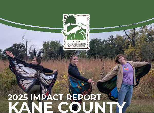 2025 Kane County Impact Report cover