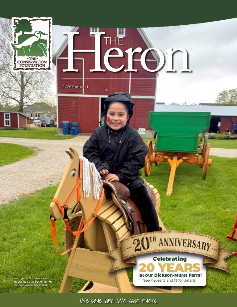 The Heron Magazine Summer 2026 Edition 1