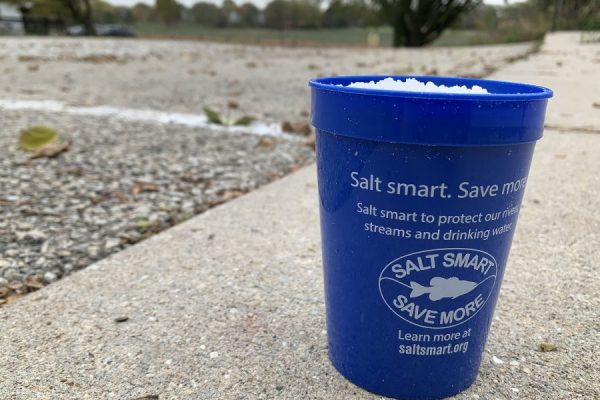 Salt-Smart-cup